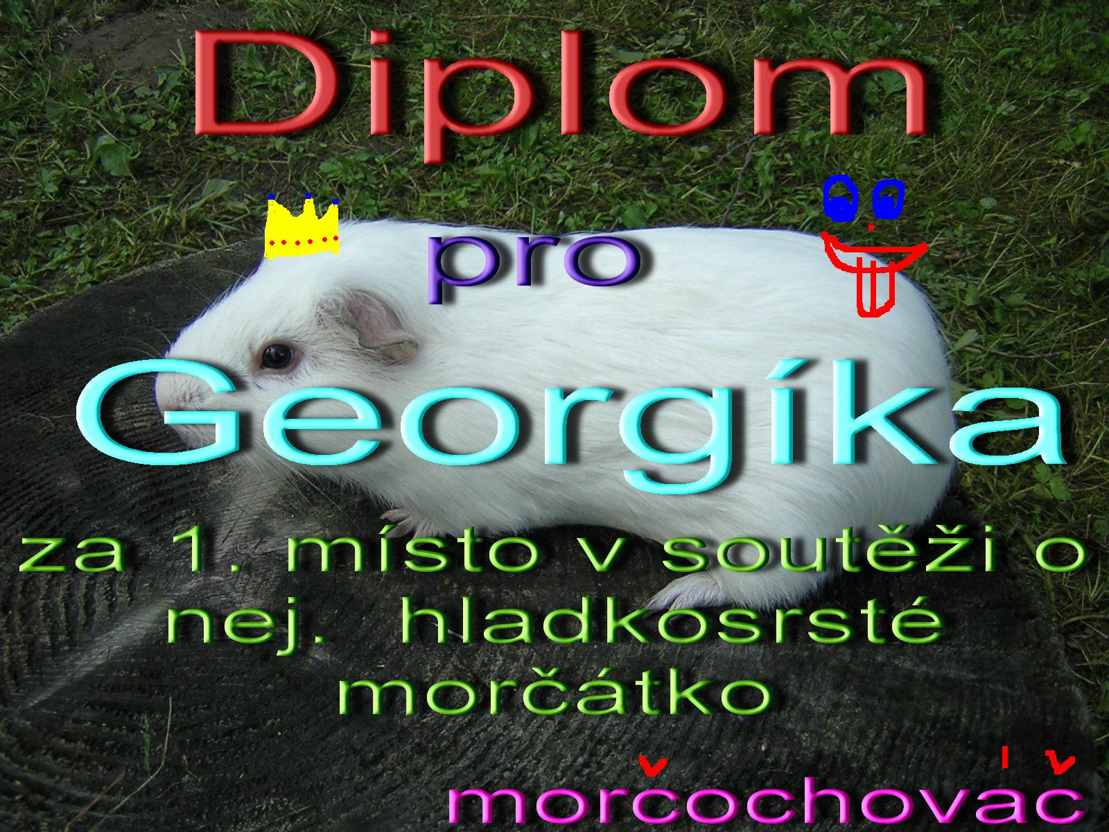 diplom3