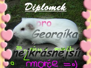 diplom