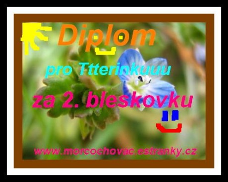 diplom2